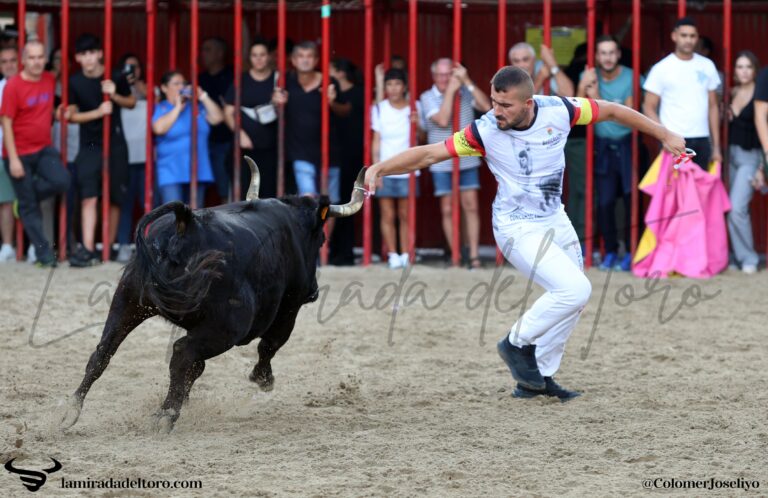 54833959418_d669b1eeb5_o