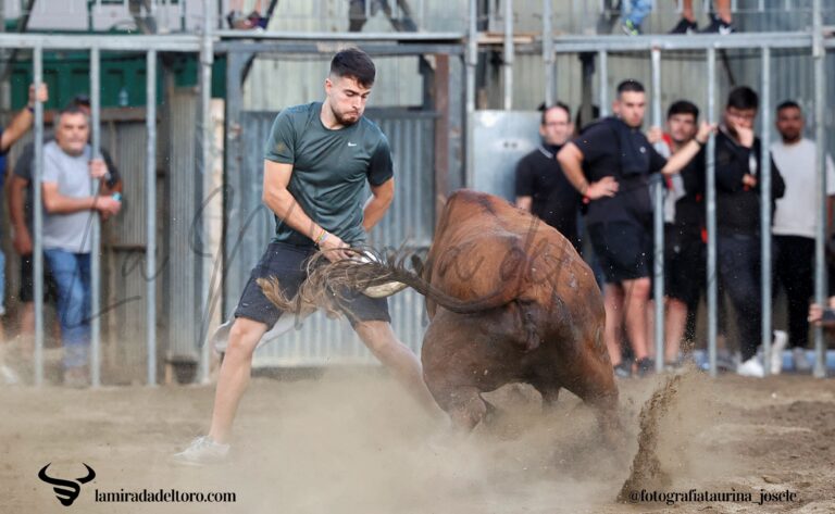 54833962483_d575d9e8a6_o