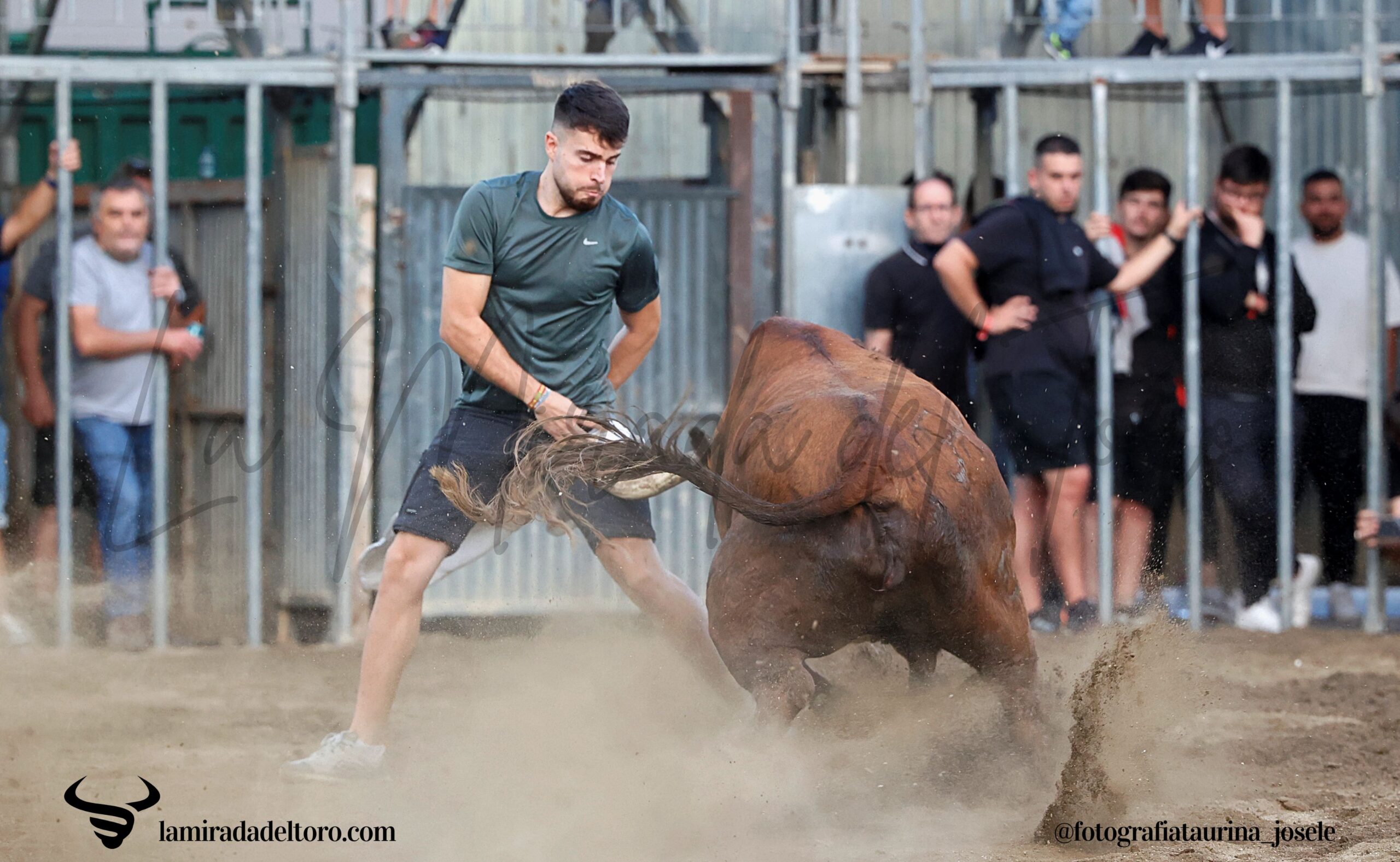 54833962483_d575d9e8a6_o