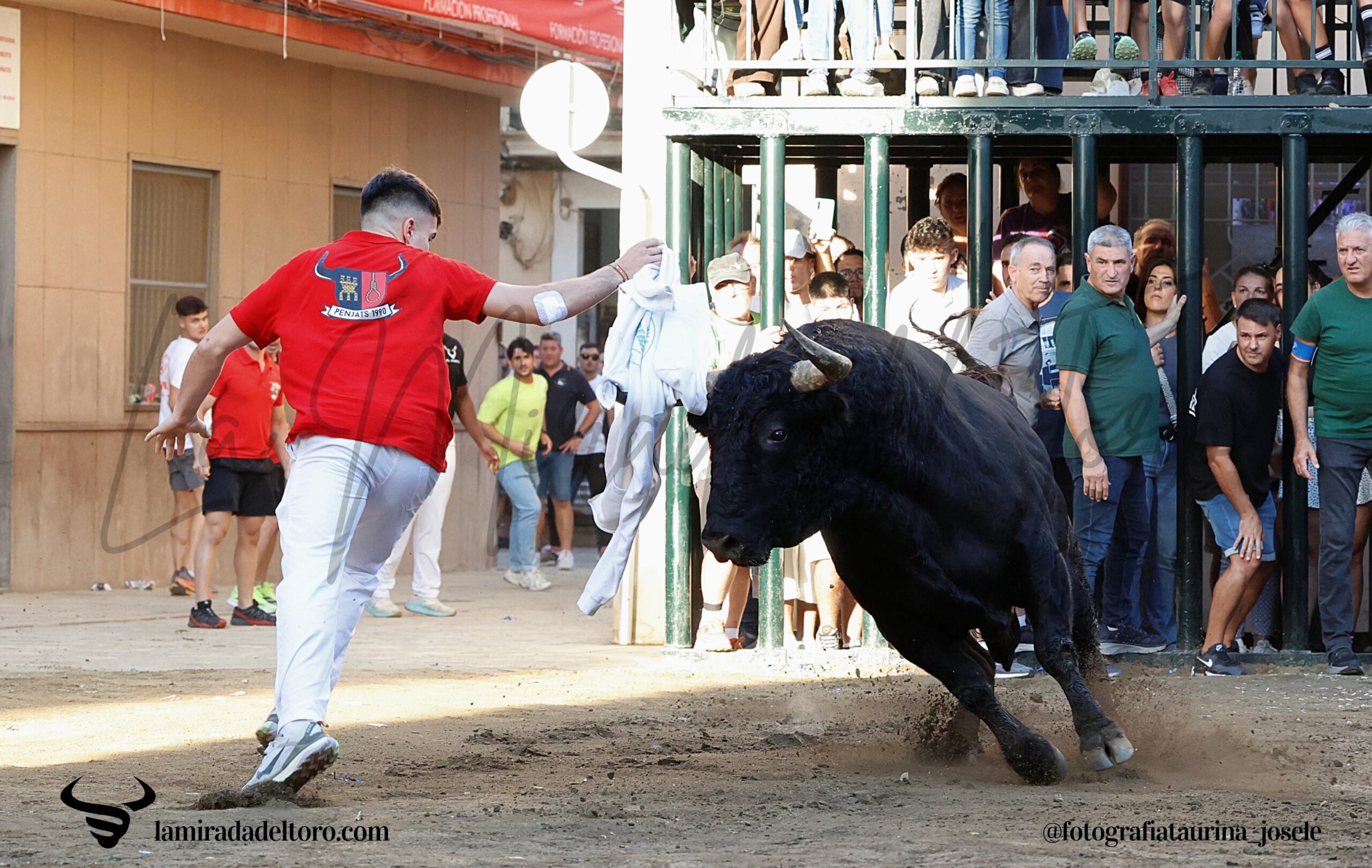 54835719804_f1c75074f1_o