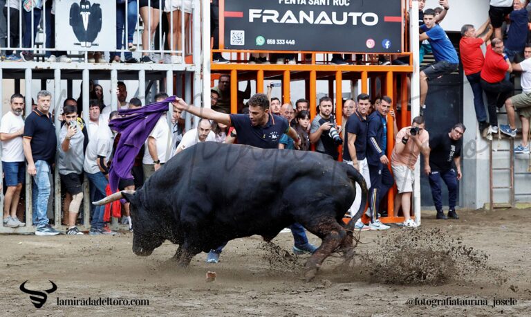 54837836317_2c3f4a0596_o