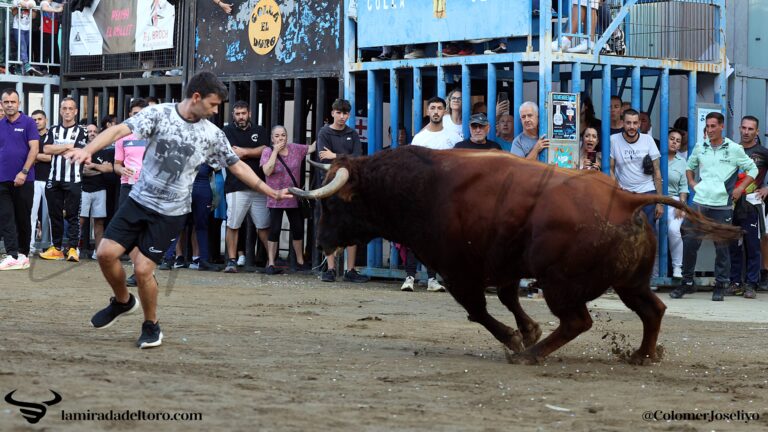 54840662154_2d5f88e604_o