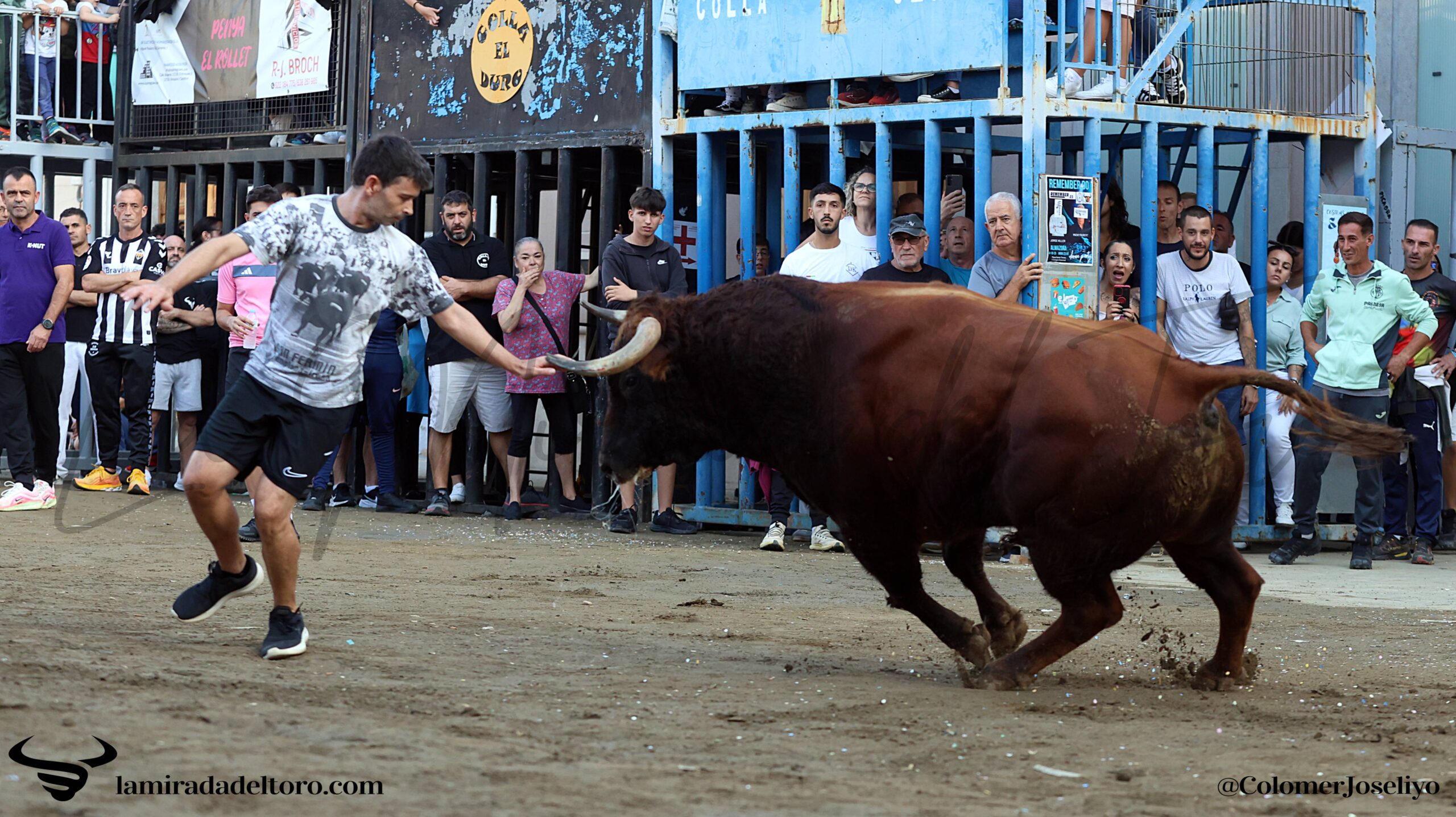 54840662154_2d5f88e604_o