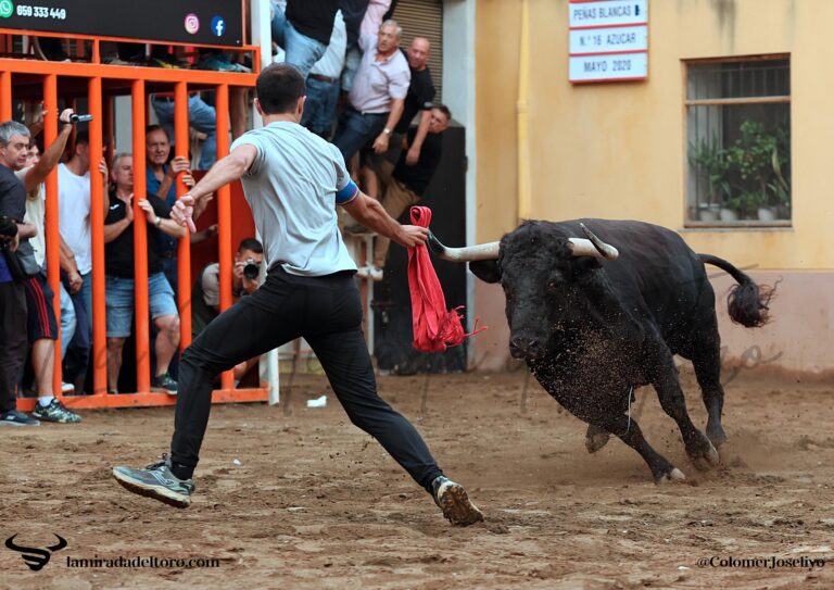 54844397071_0b9041d2e2_o