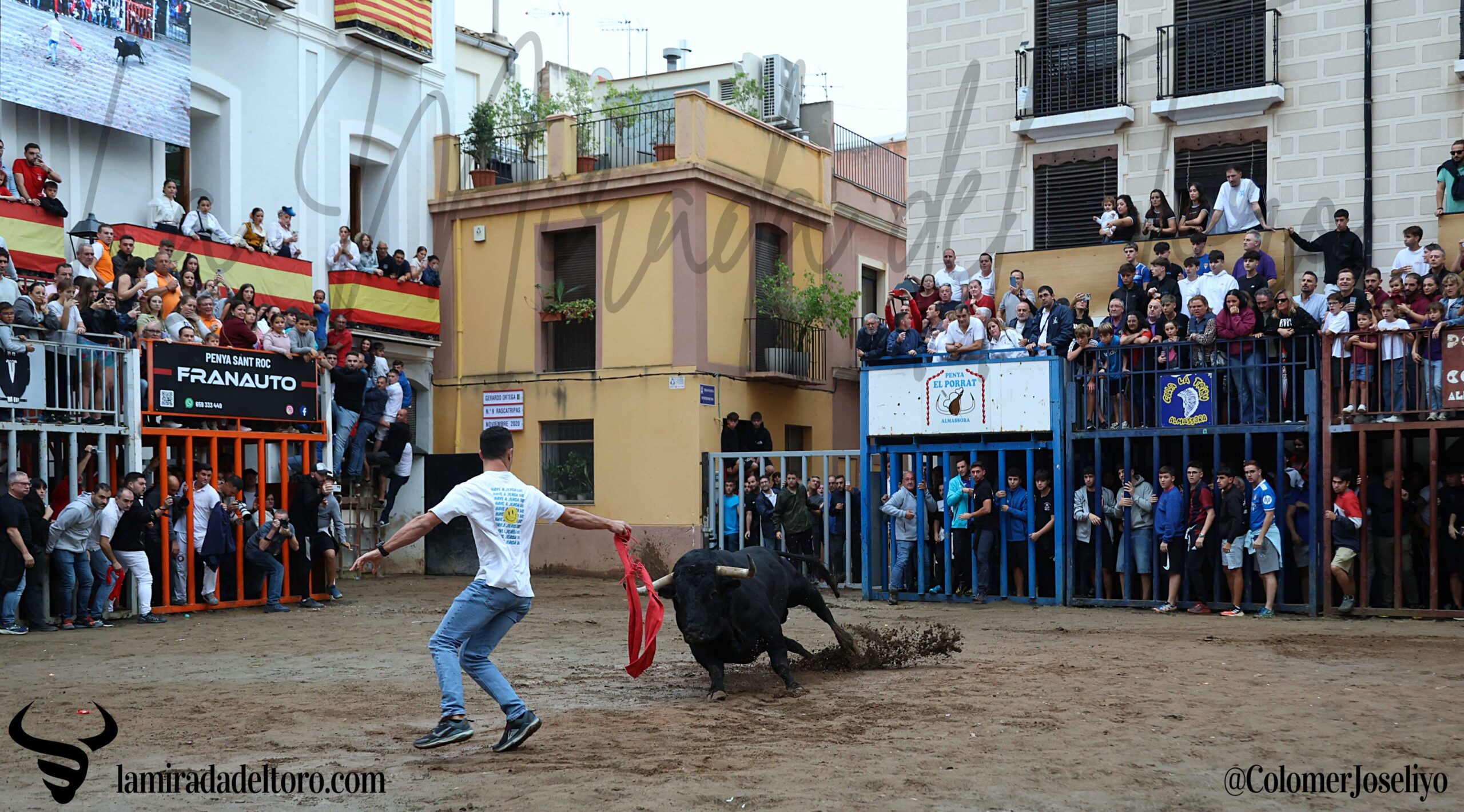 54854117474_fbcb8ce0cb_o