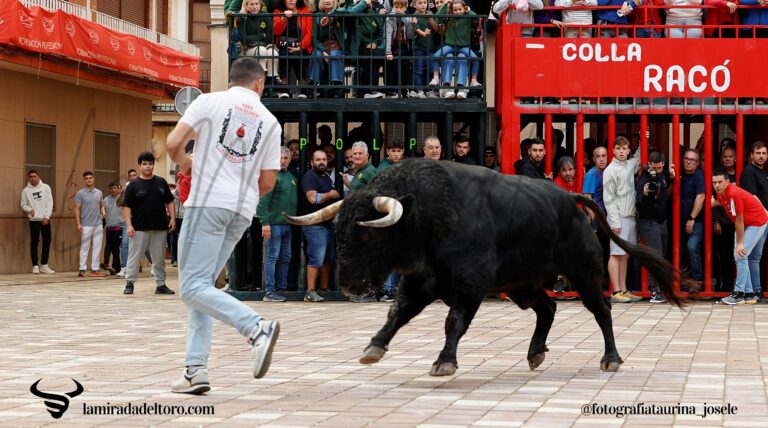 54861329154_39168051e5_o