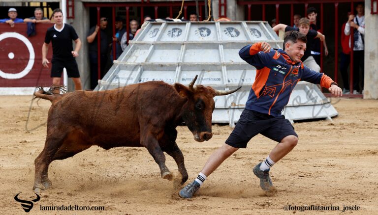 54894325780_b87f2c4785_o