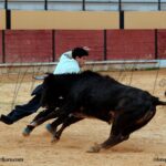 54964633632_084c0dcf06_o