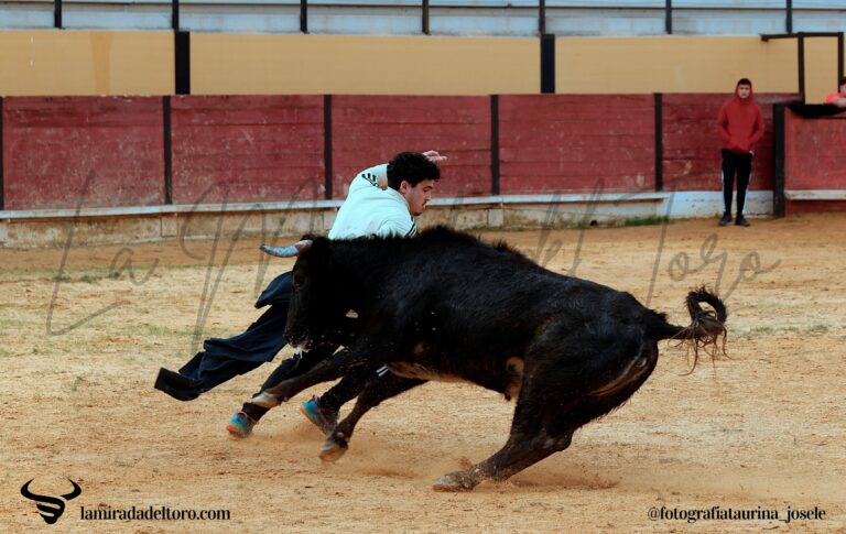 54964633632_084c0dcf06_o