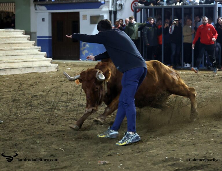 Imagen de WhatsApp 2025-12-02 a las 13.26.05_ab5c5eb9