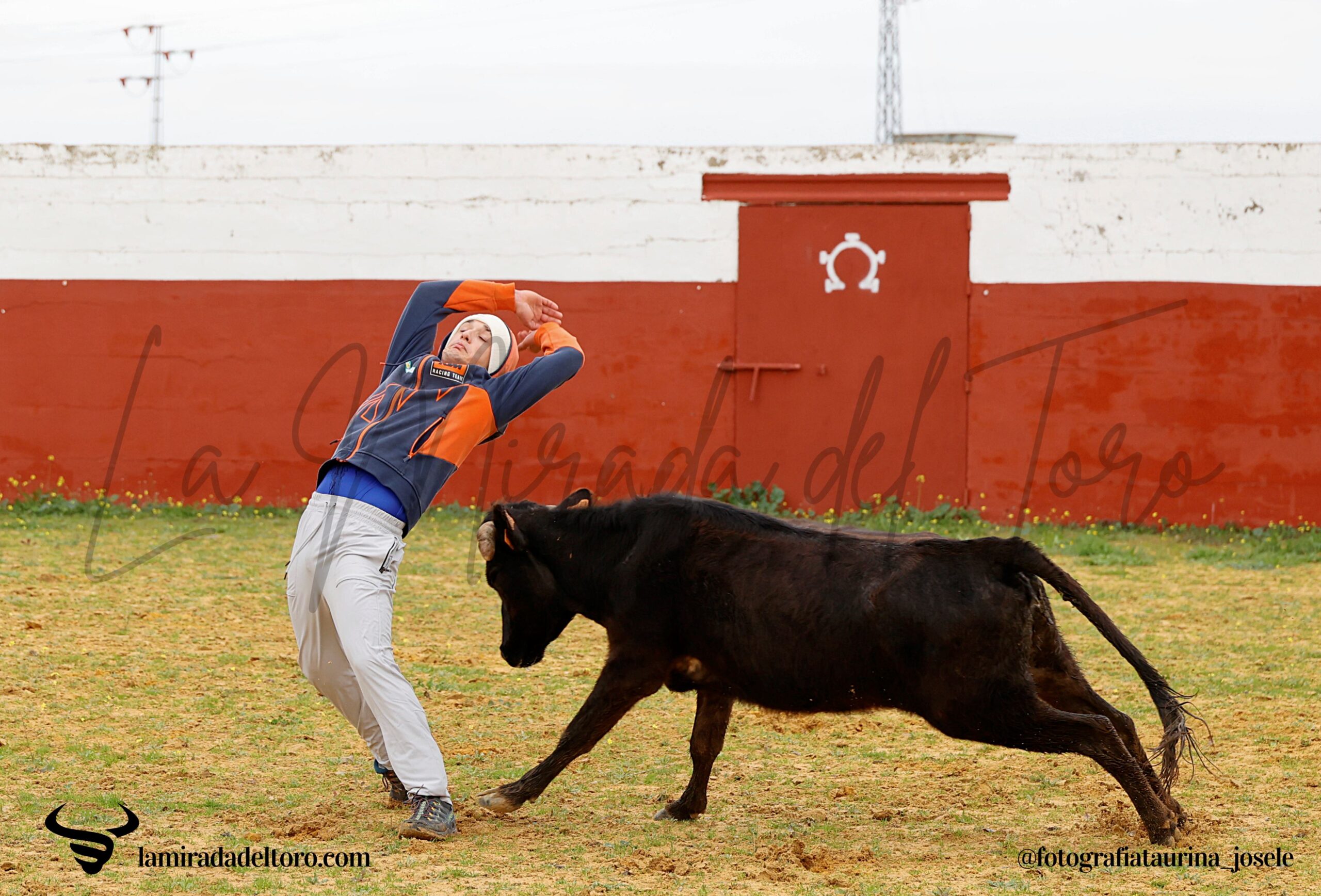 55027600360_a4c3358630_o