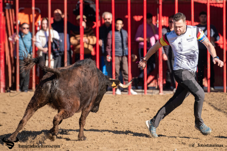 55058448305_06f871f465_o