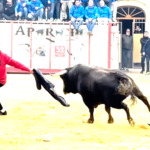 Captura de pantalla 2026-01-21 132140