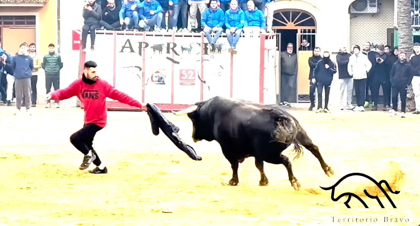 Captura de pantalla 2026-01-21 132140