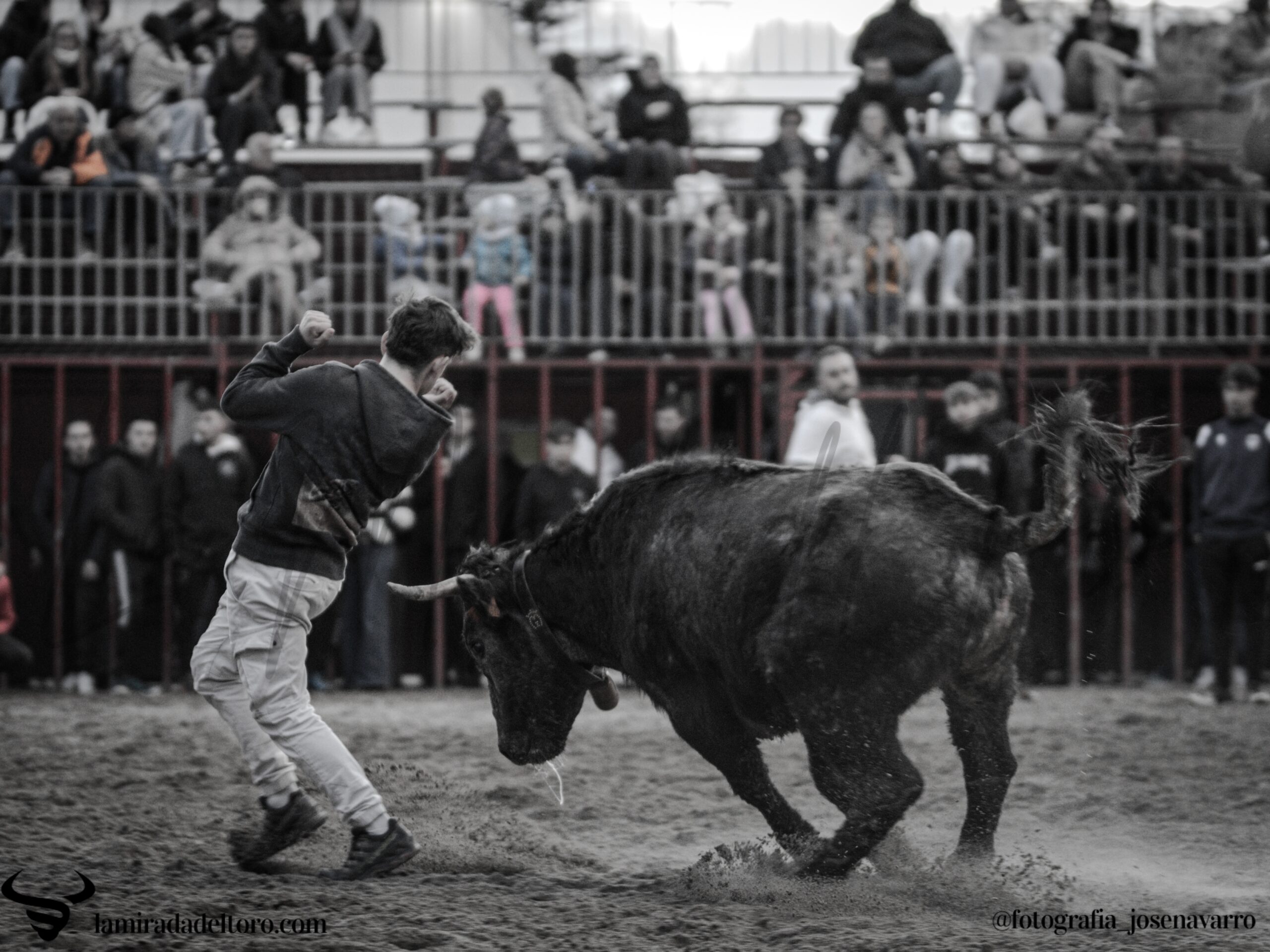 55071226152_43b4709df6_o