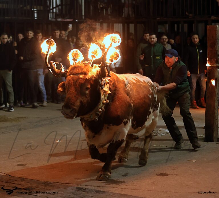 55074699998_6a6dfee448_o