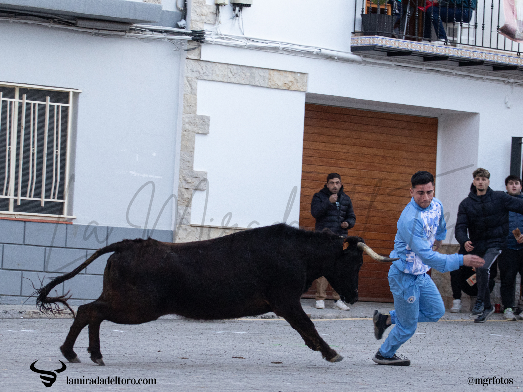 55077542381_23efc4aecb_o